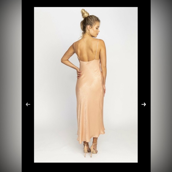 Resa - Berri Slip Dress in Blush -Small - Picture 2 of 3